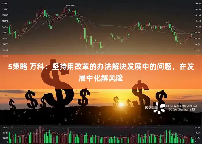 5策略 万科：坚持用改革的办法解决发展中的问题，在发展中化解风险