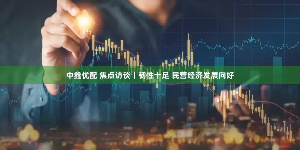 中鑫优配 焦点访谈丨韧性十足 民营经济发展向好